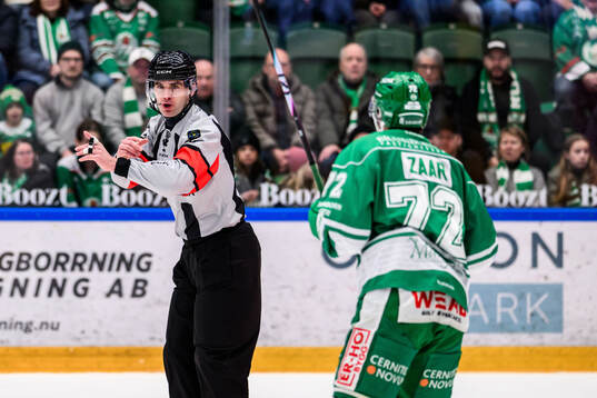 Domare Richard Magnusson och Rögles Daniel Zaar