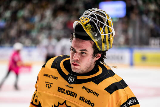 Skellefteås målvakt Strauss Mann
