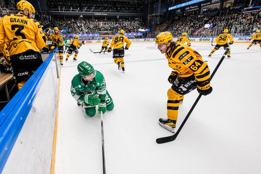 Rögles Mark Friedman och Skellefteås Jonathan Pudas