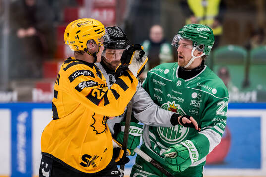 Skellefteås Pontus Johansson och Rögles Linus Sjödin