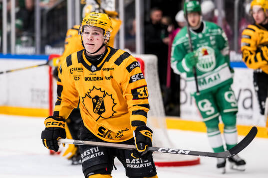 Skellefteås Zeb Forsfjäll deppar