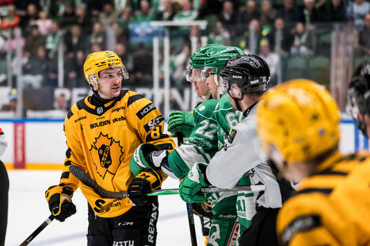Skellefteås Oliver Okuliar