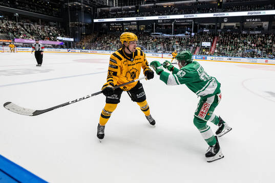 Skellefteås Pontus Johansson och Rögles Karson Kuhlman