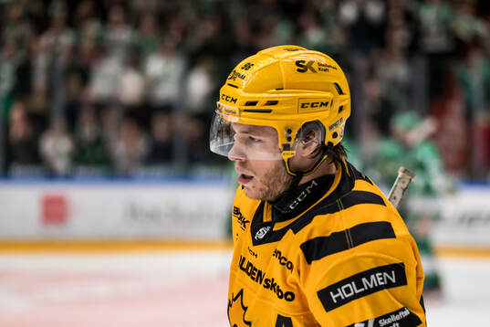 Skellefteås Rickard Hugg deppar
