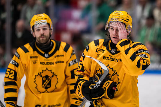 Skellefteås Pontus Johansson deppar