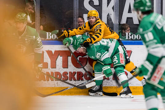 Rögles Mark Friedman och Skellefteås Andreas Johnson