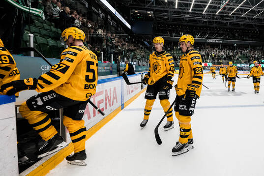 Skellefteås Lars Bryggman och Jonathan Johnson deppar