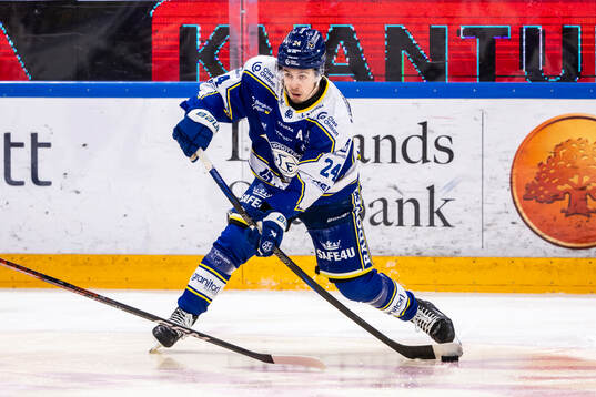 Leksands Arvid Eljas