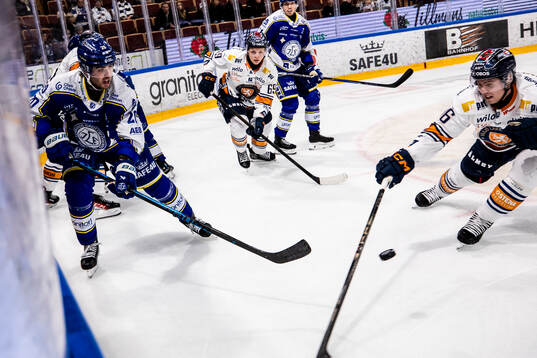Leksands Nolan Stevens