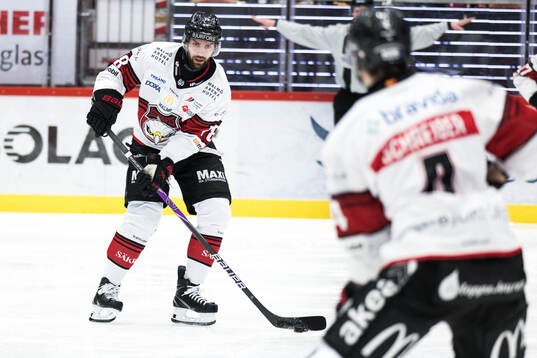 Malmö Redhawks Robin Hanzl