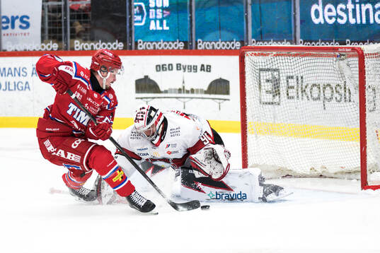 Timrås Jonathan Dahlén och Malmö Redhawks målvakt Marek
