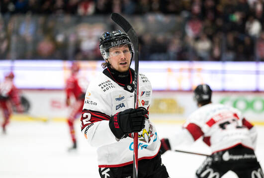 Malmö Redhawks Robin Salo