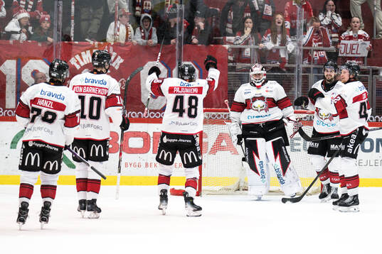 Malmö Redhawks spelare jublar