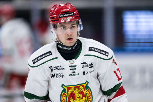 Moras Gustav Salmi-Lilja