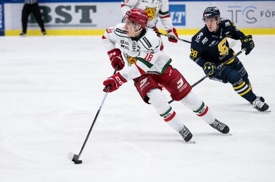 Under ishockeymatchen i Hockeyallsvenskan mellan