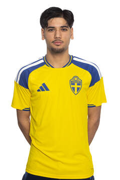 Bläddra bland fler bilder av Fotboll, P16, Sverige, porträtt