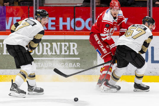 Timrås Sebastian Hartmann och Skellefteås Emil Djuse