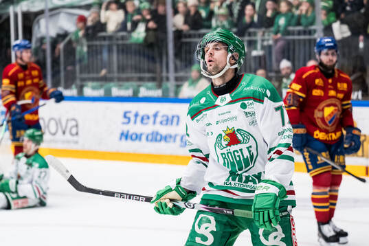 Rögles Daniel Zaar deppar