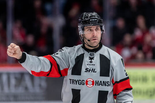 Domare Mikael Sjöqvist