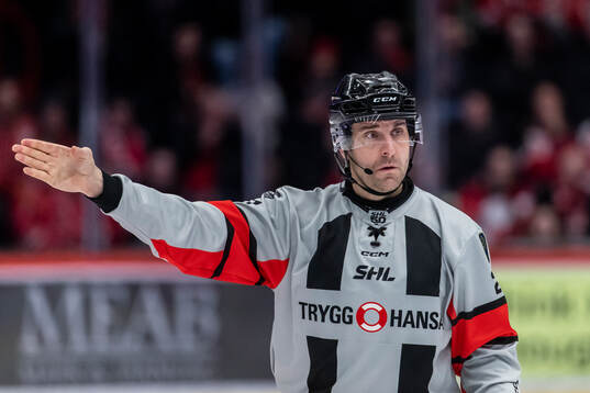 Domare Mikael Sjöqvist
