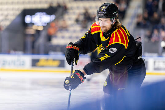 Brynäs Axel Jonsson-Fjällby