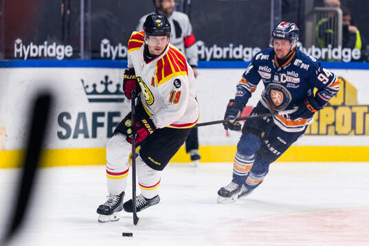 Brynäs Nicklas Bäckström och Växjös Joel Persson