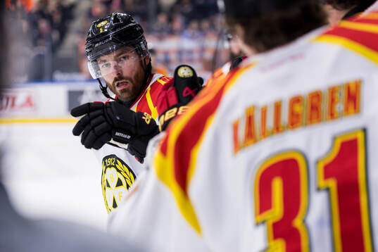Brynäs Michal Kempny jublar