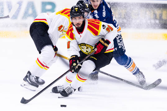 Brynäs Tyler Vesel
