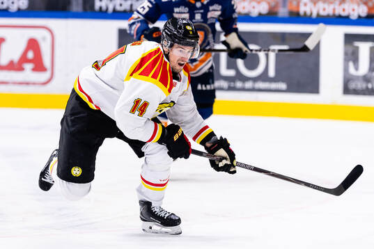 Brynäs Robert Hägg