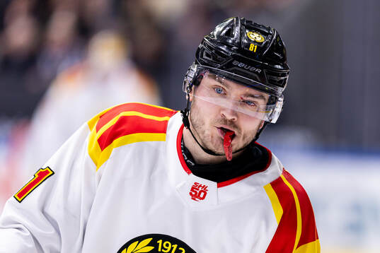 Brynäs Kieffer Bellows
