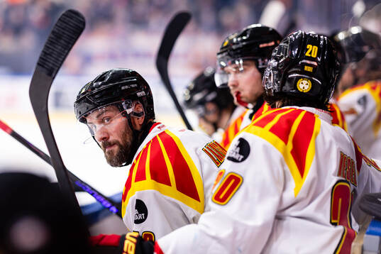 Brynäs Johan Larsson