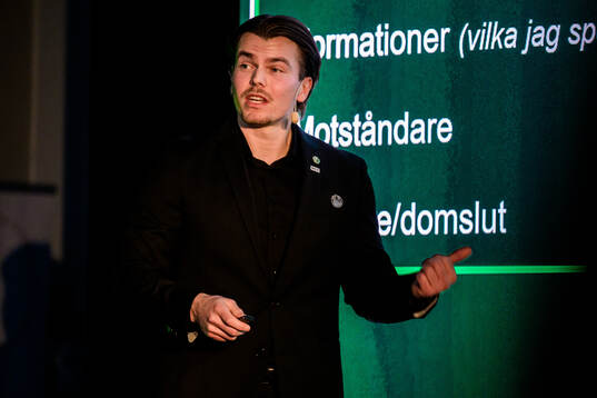 Ludvig Nilsson, Idrottspsykologisk rådgivare Rögle BK