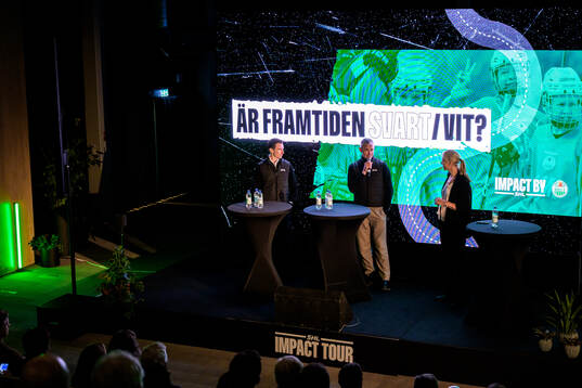 Domare Christoffer Holm och domare Linus Öhlund