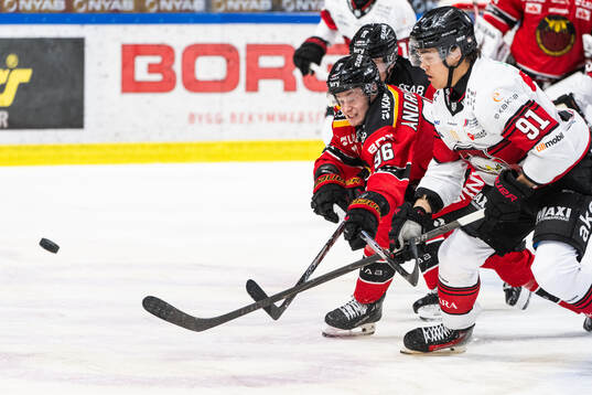 Luleås Pontus Andreasson och Malmö Redhawks Axel Sundberg