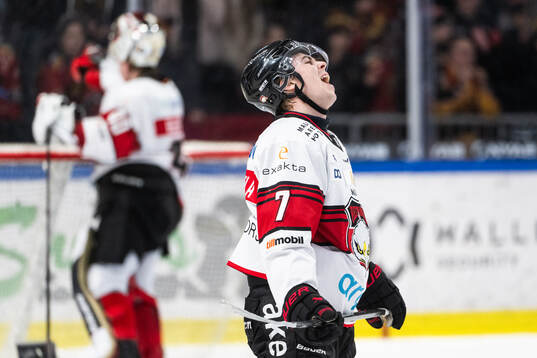 Malmö Redhawks Topi Niemelä reagerar