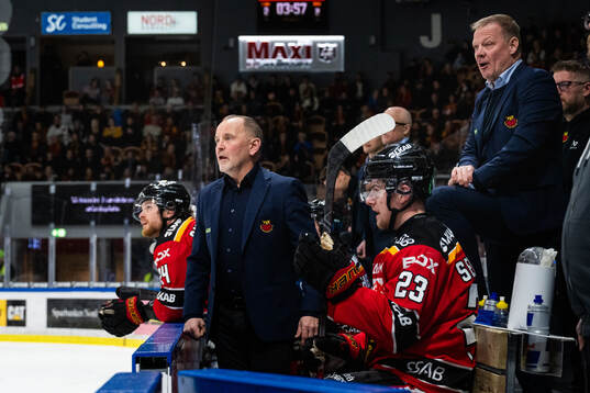 Luleås tränare Thomas Berglund och assisterande tränare