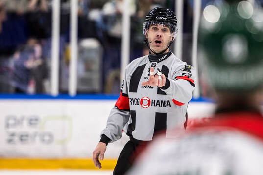 Domare Richard Magnusson