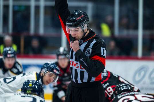 Domare Robin Forslund
