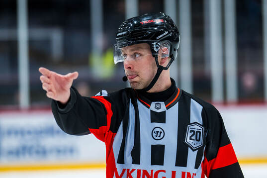 Domare Robin Forslund