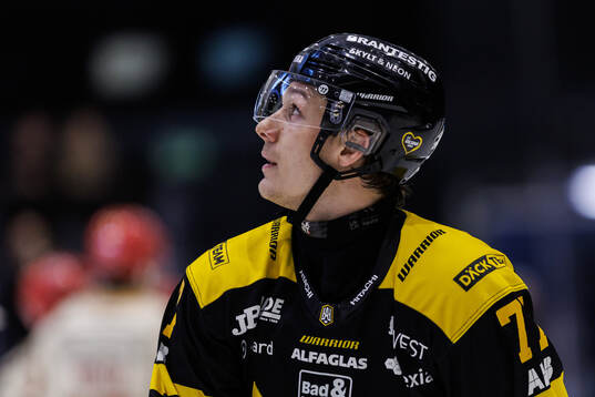Västerås Oscar Birgersson