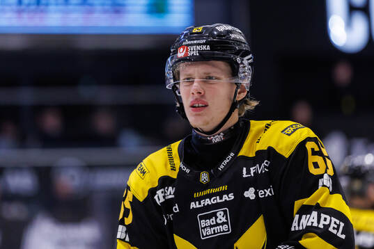 Västerås Karl Annborn