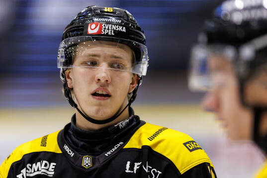 Västerås Victor Pantzare