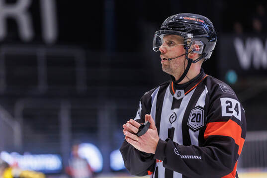 Domare Johan Magnusson