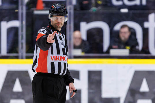 Domare Johan Magnusson