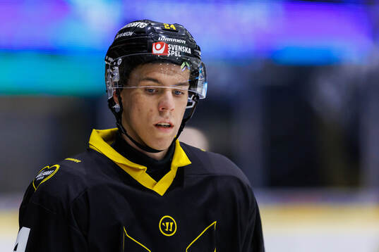 Västerås Viktor Johansson
