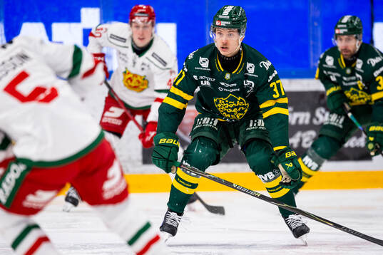 Björklövens Lenni Killinen