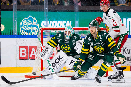 Björklövens målvakt Olle Eriksson Ek