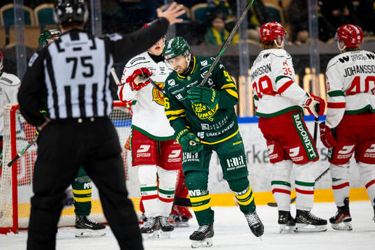 Björklövens Fredrik Forsberg deppar