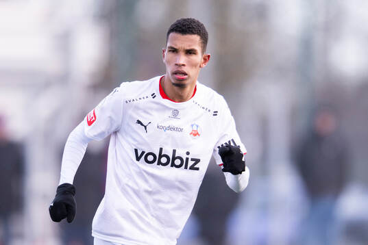 Helsingborgs Harol Romana