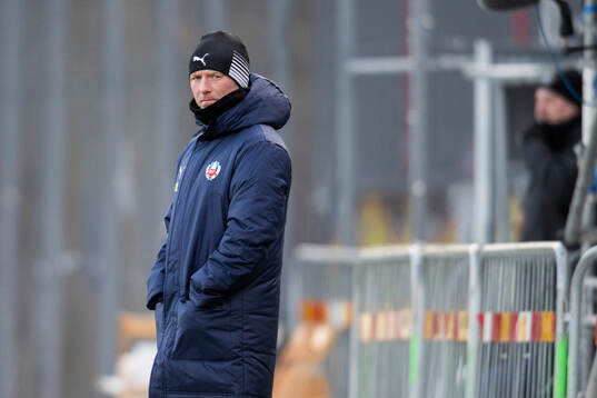Helsingborgs manager Stevie Grieve